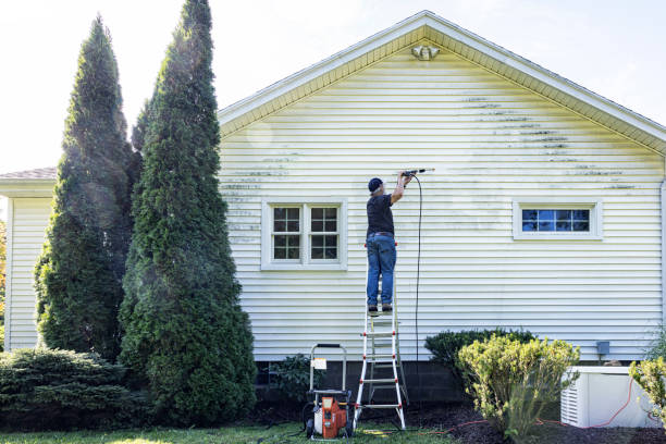 Best Vinyl Siding Pressure Washing in Hoyt Lakes, MN